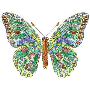 Meet your Posher, Kendra